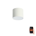 Immax NEO 07241L - Lampada da soffitto dimmerabile LED RONDATE LED/18W/230V 11,5cm Wi-Fi Tuya