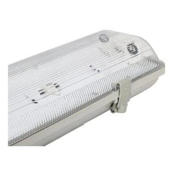 Aigostar - Lampada fluorescente tecnica T8 2xG13/20W/230V IP65