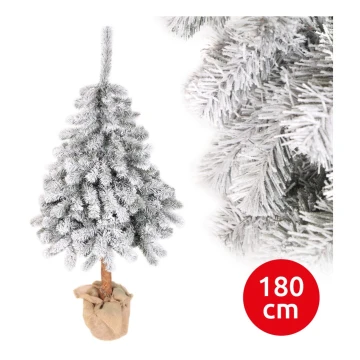 Albero di Natale PIN 180 cm abete