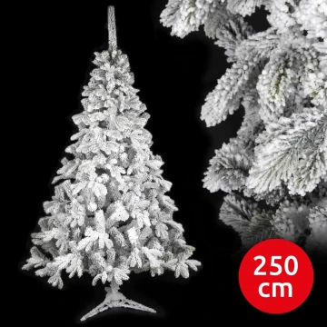 Albero di Natale RON 250 cm abete rosso