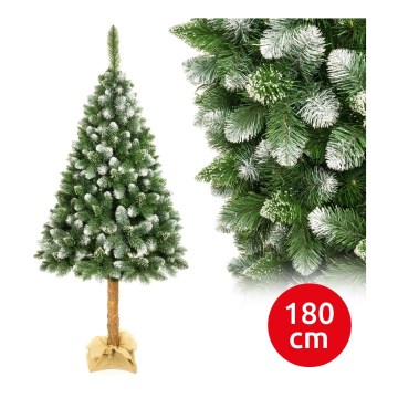 Albero di Natale su tronco di pino 180 cm