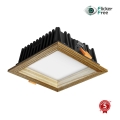 APLED - Lampada LED da incasso SQUARE WOODLINE LED/6W/230V 3000K 12x12 cm cenere legno solido