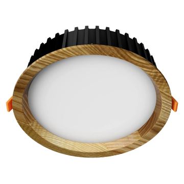 APLED - Lampada LED da incasso RONDO WOODLINE LED/12W/230V 3000K diametro 20 cm cenere legno solido