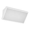 Applique a LED da esterno LED/20W/230V 3000K IP65 bianco