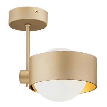 Argon 8568 - Lampadario da bagno a sospensione con supporto rigido MASSIMO PLUS 1xG9/6W/230V IP44 oro