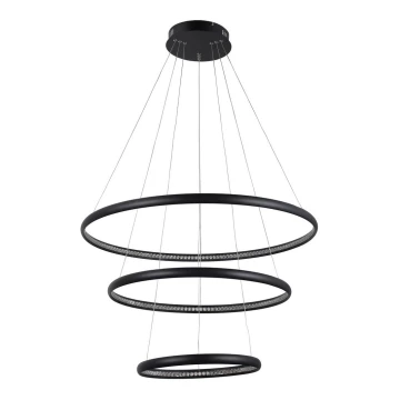 Azzardo AZ4428 - Lampadario LED su corda BRIGHTON LED/55W/230V nero