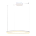 Azzardo AZ4959 - Lampadario a sospensione con filo LED dimmerabile HALO LED/56W/230V diametro 80 cm bianco