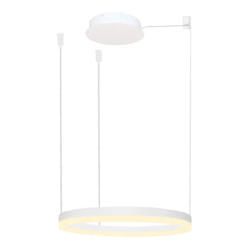 Azzardo AZ4967 - Lampadario LED dimmerabile a filo HALO LED/47W/230V d. 60 cm bianco