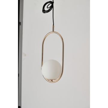 Azzardo AZ4981 - Lampadario a sospensione con filo COCO 1xG9/50W/230V