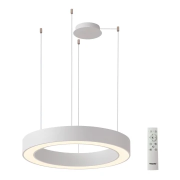 Azzardo AZ5043 - Lampadario a sospensione con filo LED dimmerabile MARCO LED/50W/230V bianco + telecomando