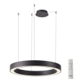 Azzardo AZ5044 - Lampadario a sospensione con filo LED dimmerabile MARCO LED/50W/230V nero + telecomando