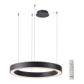 Azzardo AZ5047 - Lampadario a sospensione con filo LED dimmerabile MARCO LED/60W/230V nero + telecomando