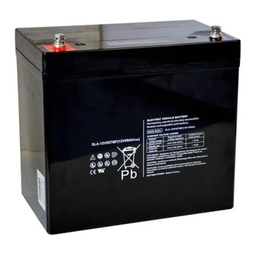 Batteria al piombo VRLA AGM 12V/55Ah