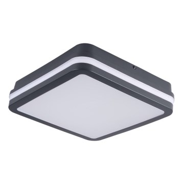 Brilagi - Lampada LED da esterno BENE LED/18W/230V 22x22 cm IP54