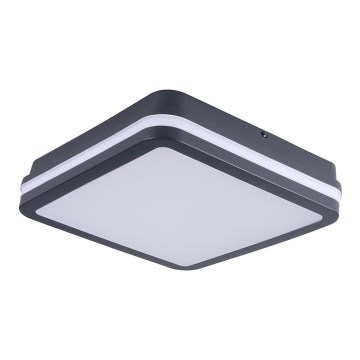 Brilagi - Lampada LED da esterno BENE LED/24W/230V 26x26 cm IP54