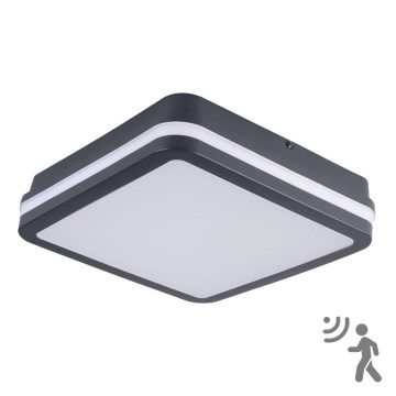 Brilagi - Lampada LED da esterno con sensore BENE LED/18W/230V 22x22 cm IP54