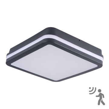 Brilagi - Lampada LED da esterno con sensore BENE LED/24W/230V 26x26 cm IP54 antracite