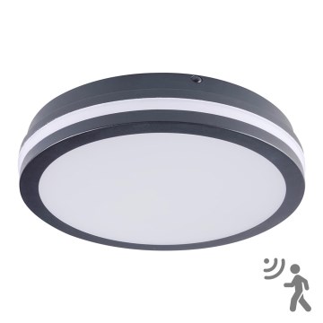 Brilagi - Lampada LED da esterno con sensore BENE LED/24W/230V diametro 26 cm IP54 antracite