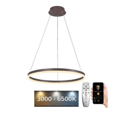 Brilagi - Lampadario a sospensione con filo LED dimmerabile CIRCLE LED/42W/230V 3000-6500K marrone + telecomando