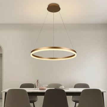 Brilagi - Lampadario a sospensione con filo LED dimmerabile CIRCLE LED/42W/230V 3000-6500K + telecomando