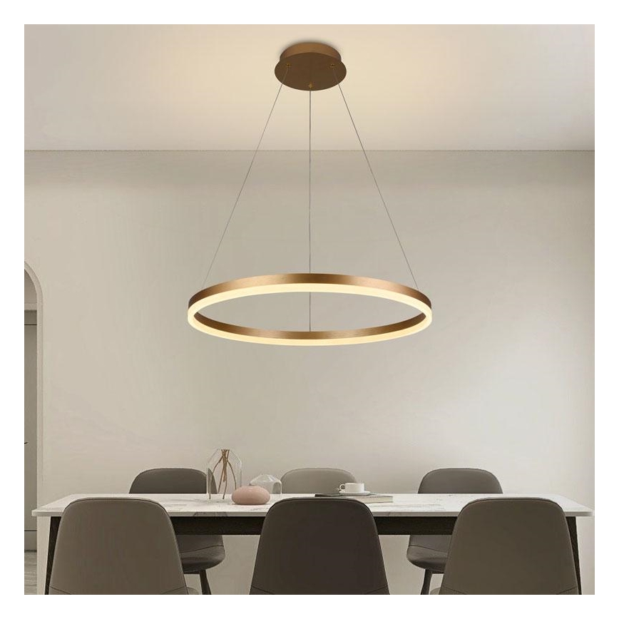 Brilagi - Lampadario a sospensione con filo LED dimmerabile CIRCLE LED/42W/230V 3000-6500K + telecomando