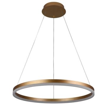 Brilagi - Lampadario a sospensione con filo LED dimmerabile CIRCLE LED/42W/230V 3000-6500K + telecomando