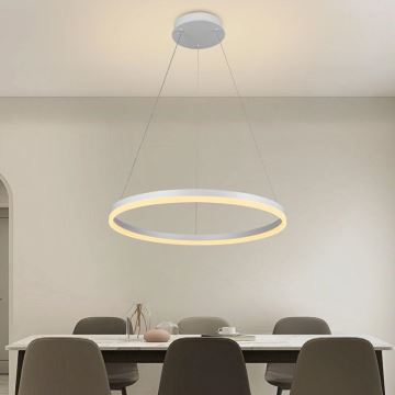 Brilagi - Lampadario a sospensione con filo LED dimmerabile CIRCLE LED/42W/230V 3000-6500K + telecomando