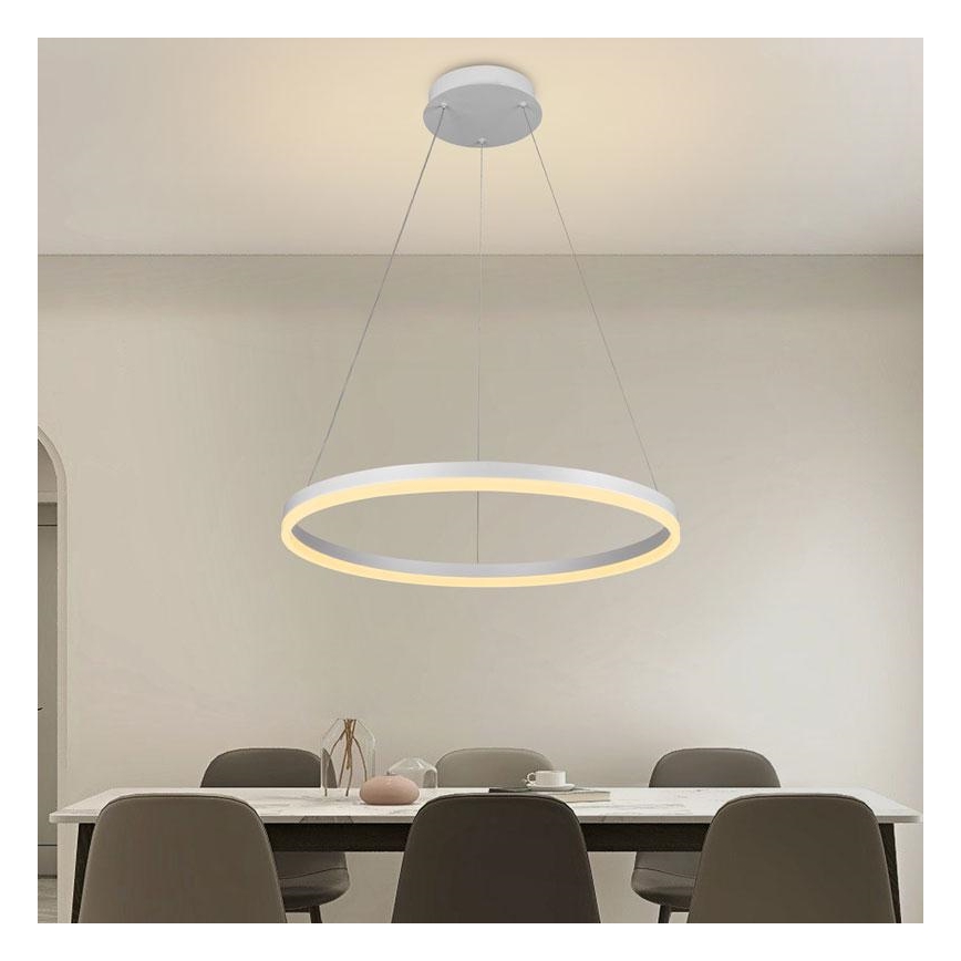 Brilagi - Lampadario a sospensione con filo LED dimmerabile CIRCLE LED/42W/230V 3000-6500K + telecomando