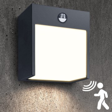 Brilagi - LED Applique da esterno con sensore TERNI LED/12W/230V antracite IP44