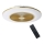 Brilagi - Luce LED dimmerabile con ventola AURA LED/38W/230V 3000-6000K oro + telecomando