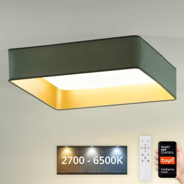 Brilagi - Plafoniera LED dimmerabile VELVET SQUARE SMART LED/36W/230V 2700-6500K Wi-Fi Tuya + telecomando menta