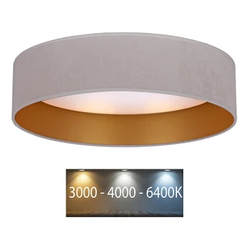 Brilagi - Plafoniera LED VELVET LED/12W/230V d. 30 cm 3000K/4000K/6400K cremoso/oro