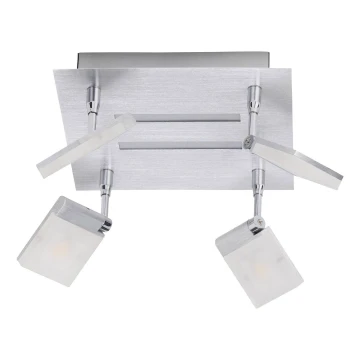 Brilliant - Luce Spot a LED PLAXICO 4xLED/6W/230V