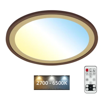 Brilo - Plafoniera LED dimmerabile SLIM LED/22W/230V 2700-6500K + telecomando