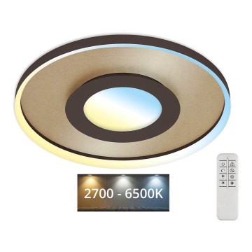Briloner 3640017 - Plafoniera LED dimmerabile FRAME LED/25W/230V 2700-6500K + telecomando