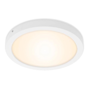 Briloner 7141-016 - Plafoniera LED FIRE LED/21W/230V