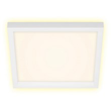 Briloner 7362-016 - Plafoniera LED CADRE LED/18W/230V 29,6x29,6 cm bianco