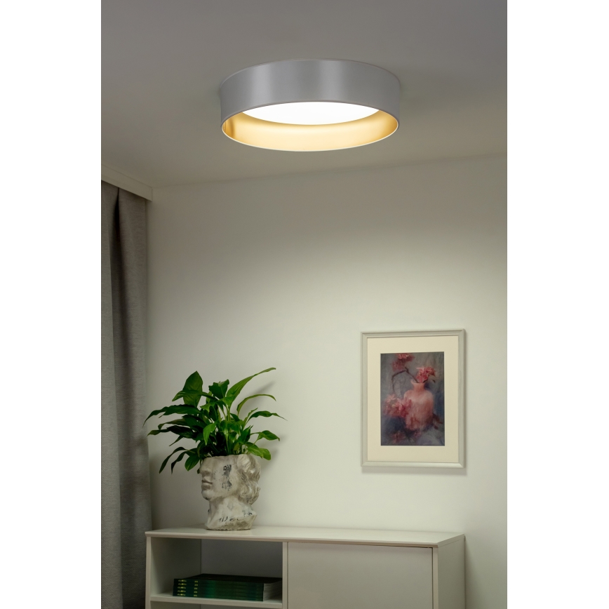 Duolla - Plafoniera LED ROLLER LED/24W/230V argento/oro