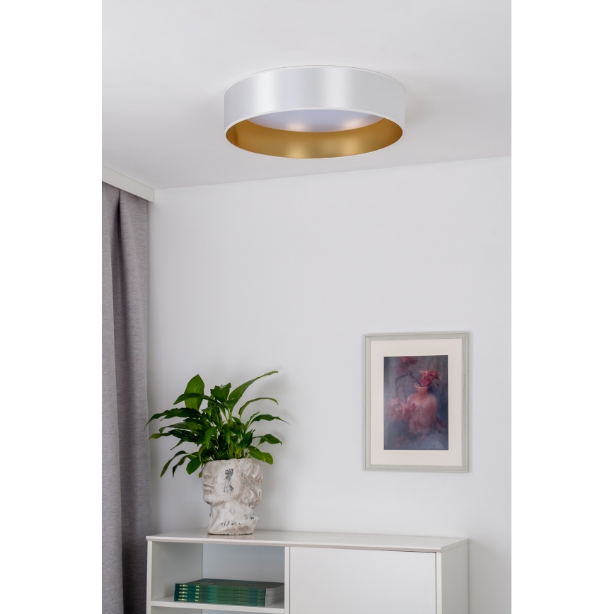 Duolla - Plafoniera LED ROLLER LED/24W/230V argento/oro