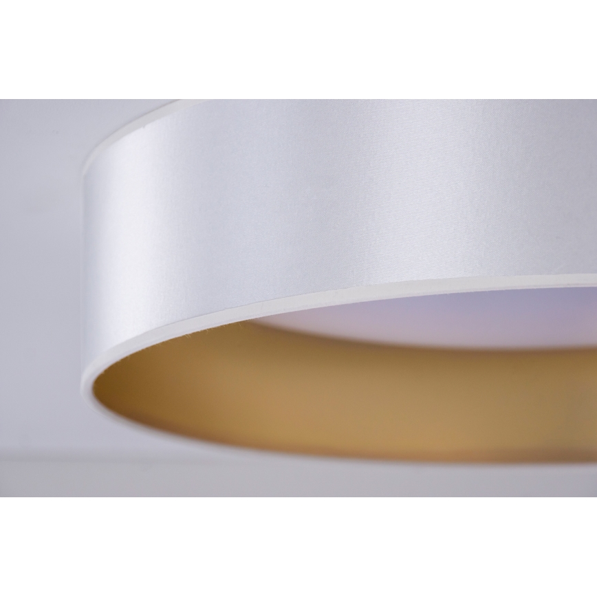 Duolla - Plafoniera LED ROLLER LED/24W/230V argento/oro