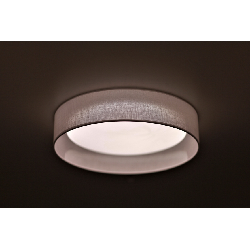 Duolla - Plafoniera LED ROLLER LED/24W/230V bianco