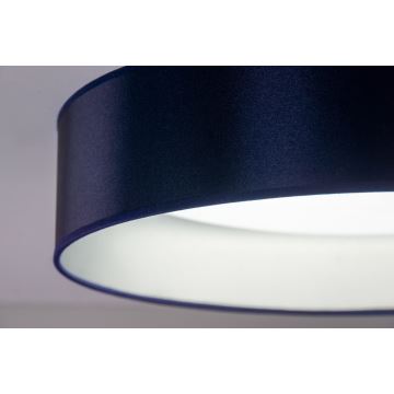 Duolla - Plafoniera LED ROLLER LED/24W/230V blu/argento