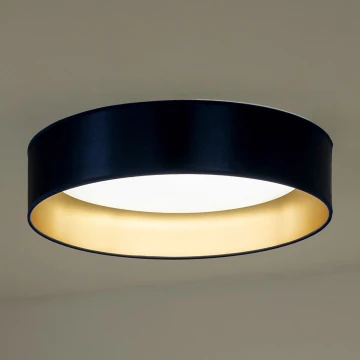 Duolla - Plafoniera LED ROLLER LED/24W/230V blu/oro