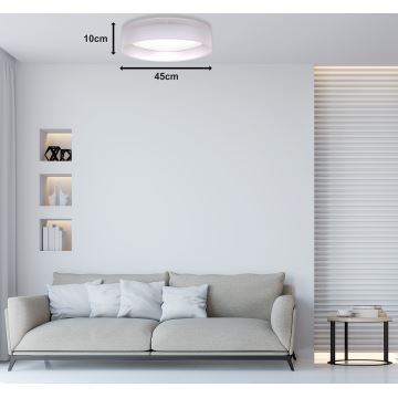 Duolla - Plafoniera LED ROLLER LED/24W/230V grigio chiaro