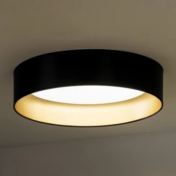 Duolla - Plafoniera LED ROLLER LED/24W/230V nero/oro