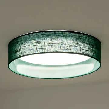 Duolla - Plafoniera LED ROLLER LED/24W/230V verde