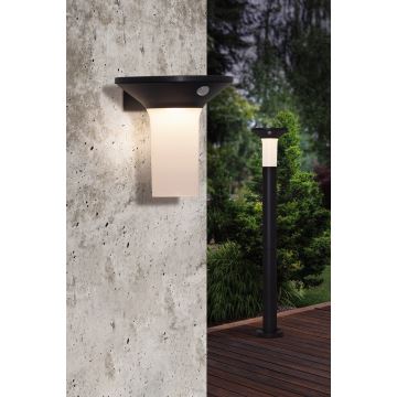 Eglo - Lampada solare da esterno a LED con sensore 6xLED/0,03W/3,7V IP44