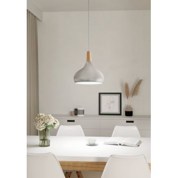 Eglo - Lampadario a sospensione con filo 1xE27/60W/230V diametro 28 cm argento - FSC certificato