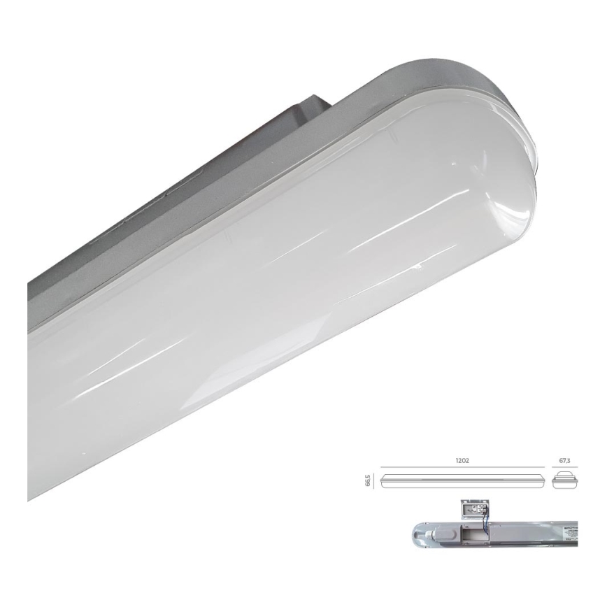 Emithor 31602 - Lampada LED da lavoro ELMINA LED/36W/230V IP65