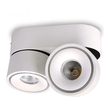 Faretto LED dimmerabile LAHTI MINI 2xLED/9W/230V 3000K CRI 90 bianco